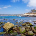 We don’t need no Disneyland!