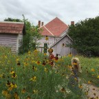 Dallas-Not just an 80’s Melodrama